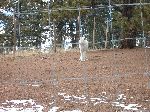 003_2009-0214-1246-53-JoeA.jpg